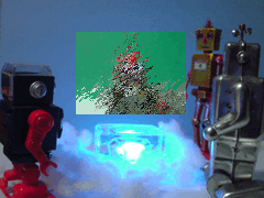 e0005548_1461691.gif