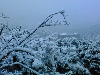 今更に雪。_c0007963_17332040.jpg