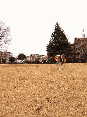 b0180764_23295113.gif