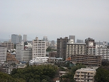 a0093965_2121742.jpg