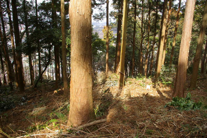 スギ林に木漏れ日が！第２回六国見山森林公園の手入れ_c0014967_10201314.jpg