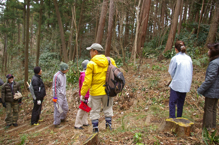 スギ林に木漏れ日が！第２回六国見山森林公園の手入れ_c0014967_10532931.jpg