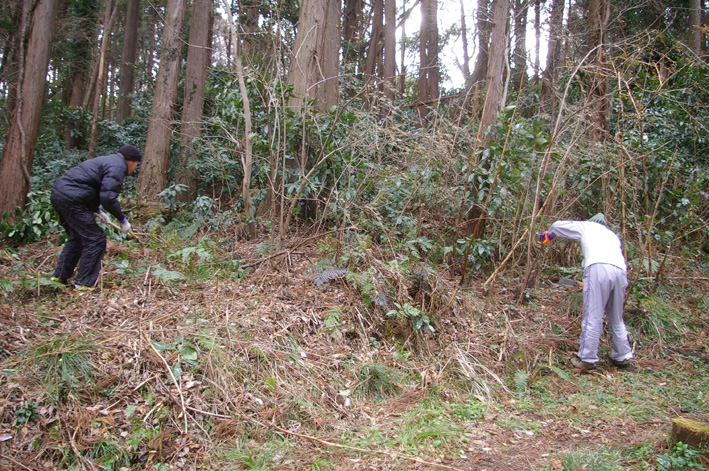 スギ林に木漏れ日が！第２回六国見山森林公園の手入れ_c0014967_10544444.jpg