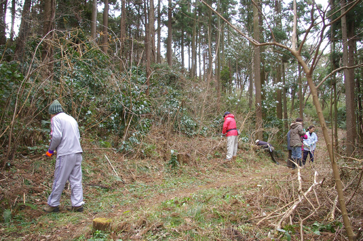スギ林に木漏れ日が！第２回六国見山森林公園の手入れ_c0014967_10547100.jpg