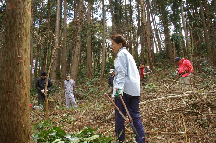 スギ林に木漏れ日が！第２回六国見山森林公園の手入れ_c0014967_1057743.jpg