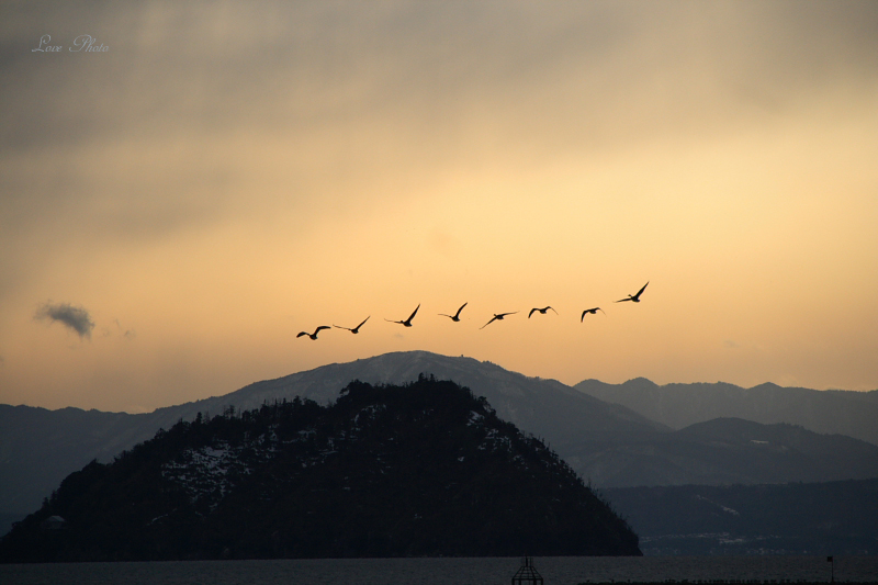 湖西～湖北撮影ドライブ　ー湖北の夕景ー_a0116472_18271730.jpg