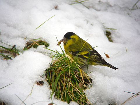 c0002874_22313179.jpg