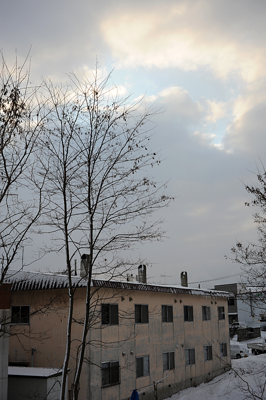a0141385_1421969.jpg