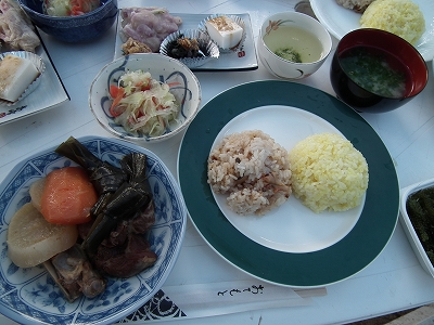 徳浜「海の自然観察会」 その1_e0028387_23423941.jpg