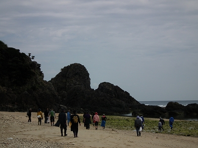 徳浜「海の自然観察会」 その1_e0028387_23575234.jpg
