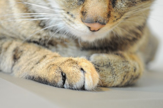 カメラがますます好きになる理由_a0126590_6535335.jpg