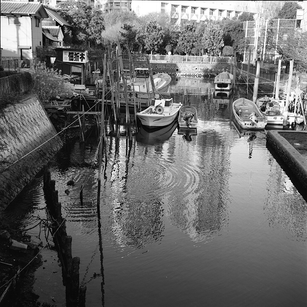 c0214494_1812130.jpg