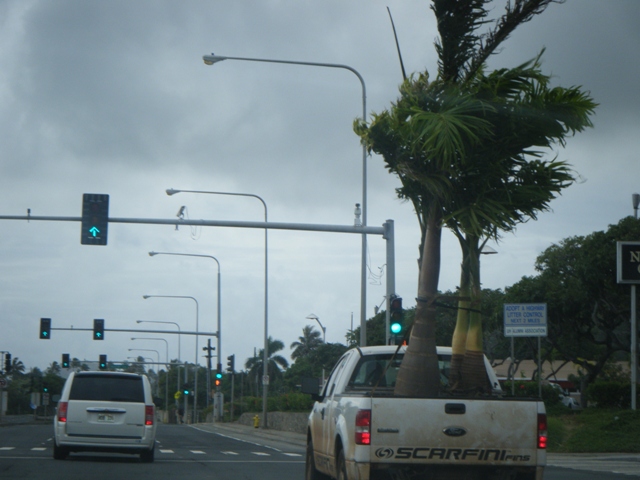 a0117495_11242699.jpg