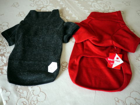 c0090198_749137.jpg