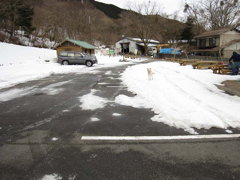 三嶺　大雪　大岩の所で撤退_b0124306_2059850.jpg