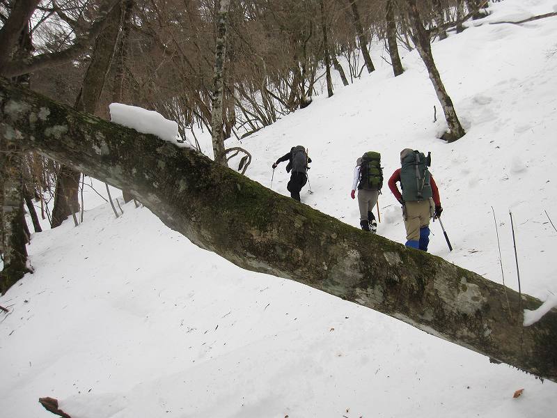 三嶺　大雪　大岩の所で撤退_b0124306_22113894.jpg