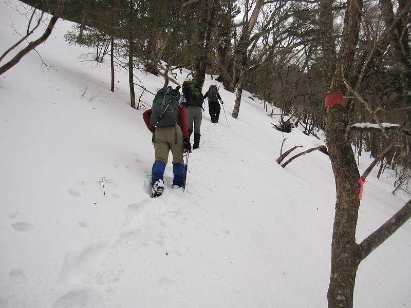 三嶺　大雪　大岩の所で撤退_b0124306_22284898.jpg