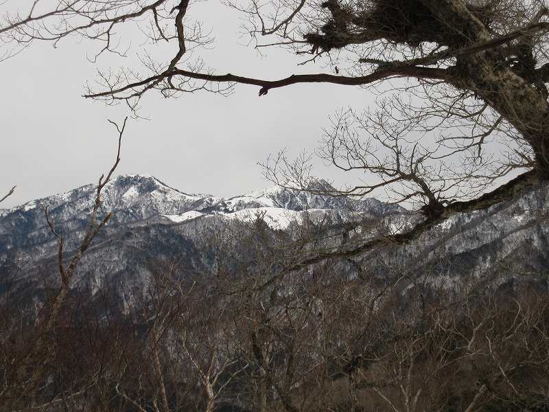 三嶺　大雪　大岩の所で撤退_b0124306_2250275.jpg