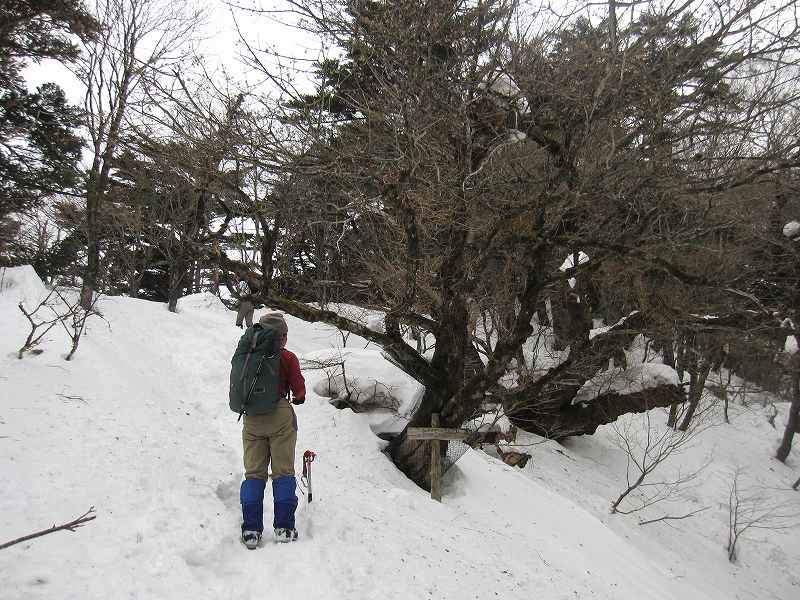 三嶺　大雪　大岩の所で撤退_b0124306_22544252.jpg