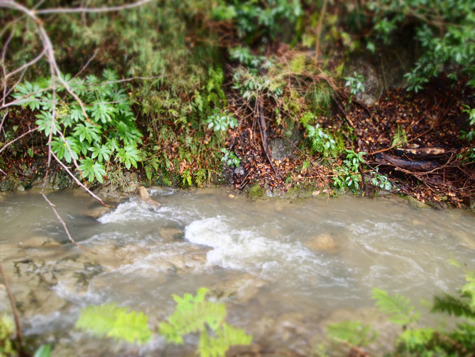 f0201310_14131155.jpg