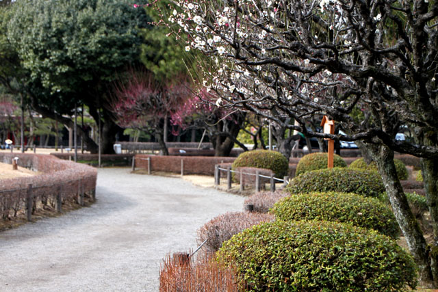 水前寺公園_e0048413_2263449.jpg