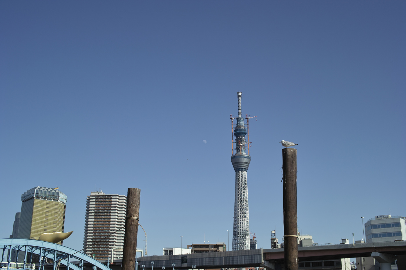 c0213117_0234552.jpg