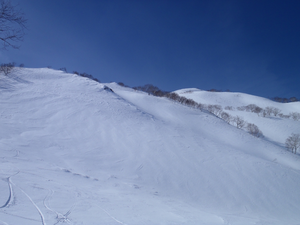 e0171018_21273930.jpg