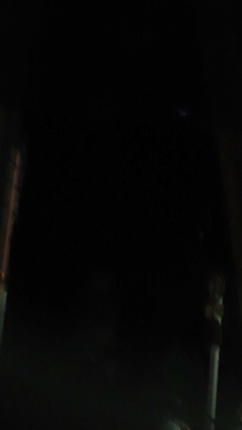 d0150722_21204688.jpg