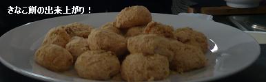 自家製野菜ジュース(追記:ジューサーでお餅つき!)_d0144726_2281270.jpg