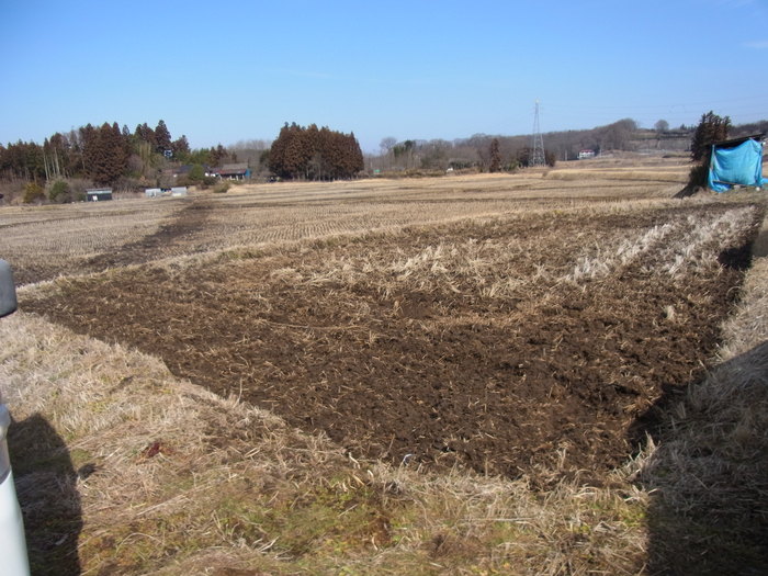 再び福島県矢吹町に行ってきました！！_b0086228_19564982.jpg