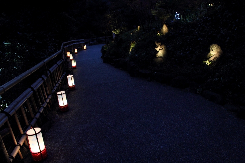 京都・花灯路IN椿山荘（前編）_b0169330_23192285.jpg