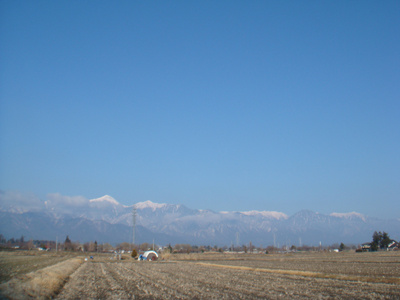 a0014840_1433481.jpg