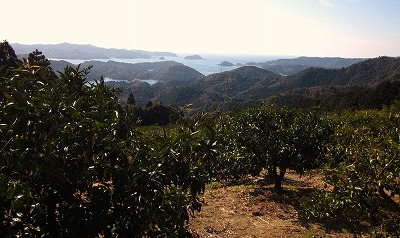 d0048350_1962664.jpg