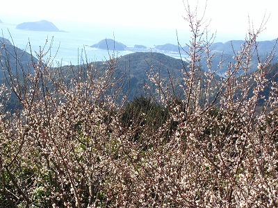 d0048350_1963645.jpg