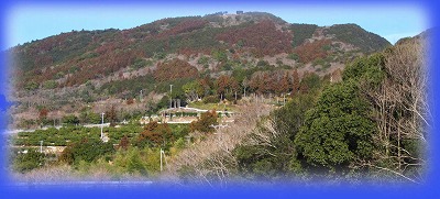 d0048350_1974341.jpg
