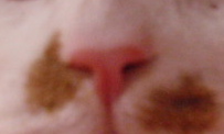 d0078350_12191528.jpg