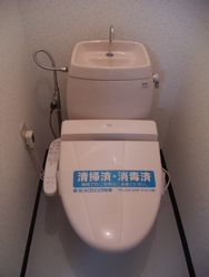 d0204154_15552446.jpg