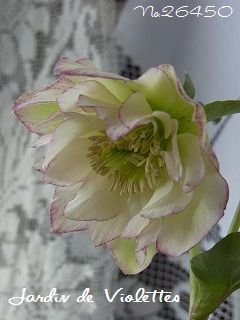 e0118257_15551639.jpg