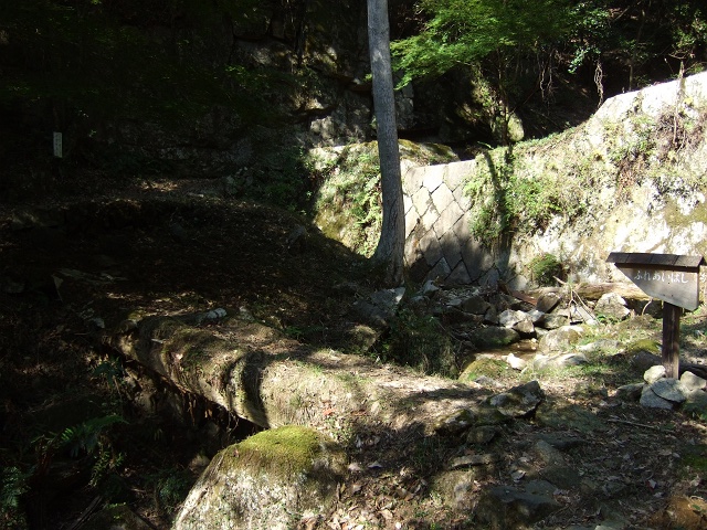 b0095061_1721261.jpg