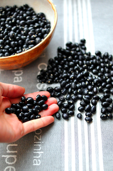 Guiso De Alubias Negras Con Botifarra Negra 黒インゲン豆の煮込みとブティファラネグラ ぶどう畑ぐらし Guiso De Alubias Negras Con Botifarra Negra 黒インゲン豆の煮込みとブティファラネグラ ぶどう畑ぐらし