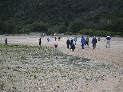 徳浜「海の自然観察会」 　その２_e0028387_16403260.jpg