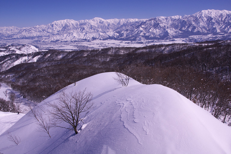 2011.02.16  上越国際スキー場_f0190989_5125570.jpg