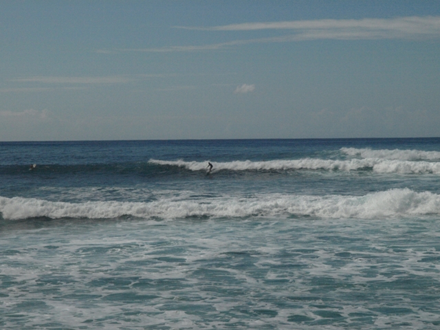 a0117495_0314753.jpg