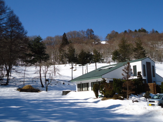 c0099395_1054224.jpg