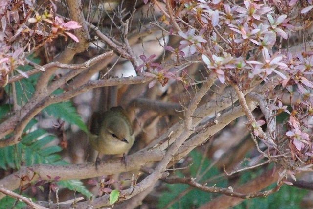 こども自然公園_c0125596_22403145.jpg