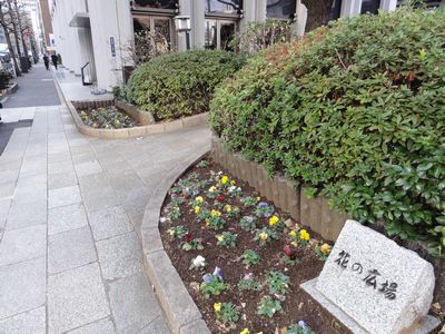 日本橋でロウバイ_e0149596_23334915.jpg