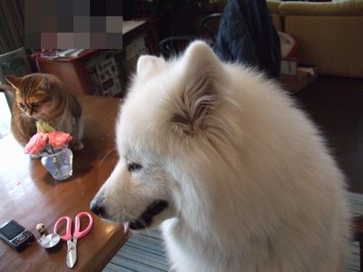d0149103_14185929.jpg