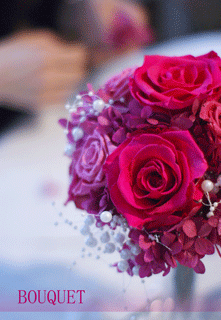 b0111306_22134382.gif