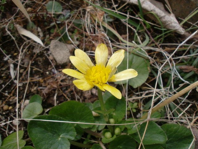 f0162908_2319075.jpg