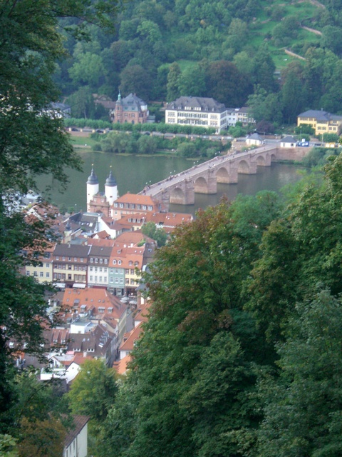 d0116009_330967.jpg
